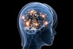 Mental Fitness: Latihan Kesehatan Mental yang Sama Pentingnya dengan Gym